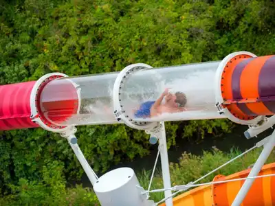 Attractions