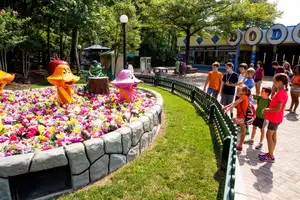 A KD Legacy: Singing Mushrooms & Frog Pianist