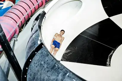 Shark