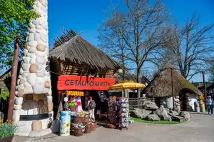 Boutique Cétautomatix