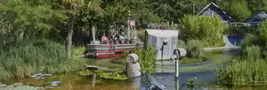 Alligator Baie