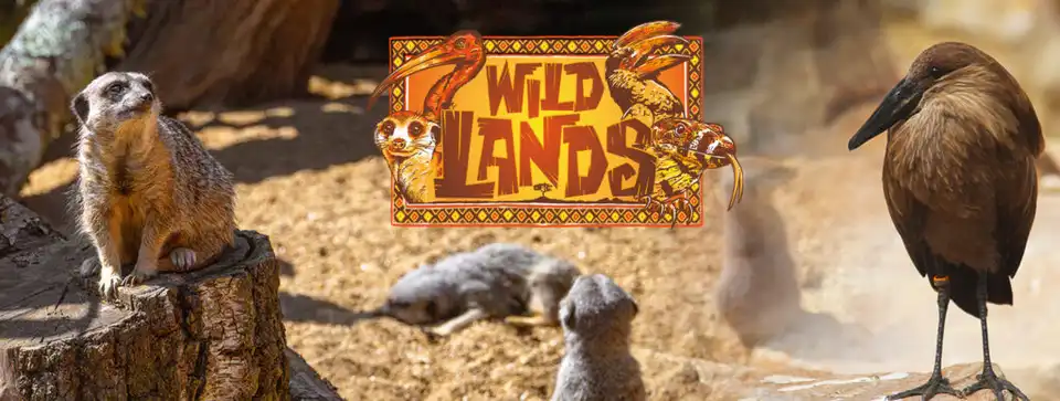 Wild Lands