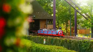 Runaway Train