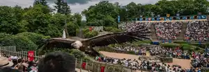 Le Bal des Oiseaux Fantômes