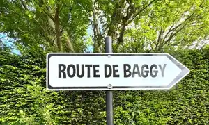 Les Trotteurs