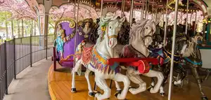Antique Carrousel