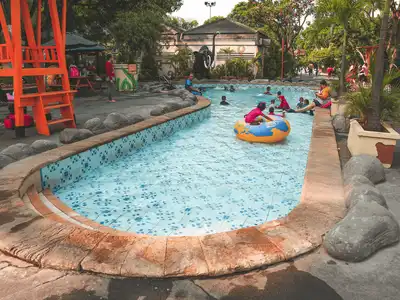 Elephant Pool