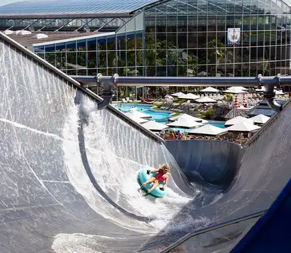 The Big Wave