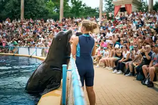 Show des otaries à Walygator Sud-Ouest – © Walygator Sud-Ouest