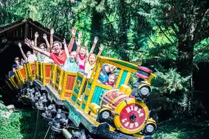 Goldmine Train