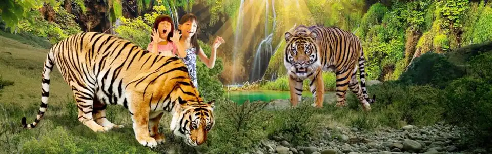 Lost World Tiger Valley