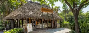 Cafetería Bora Bora