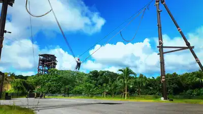 Human Arrow