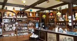 Dr. Kaufmann's General Store