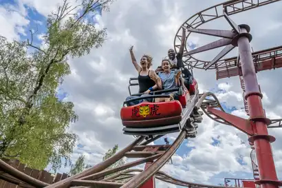 Tiger Express