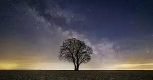 Ce soir dans le ciel