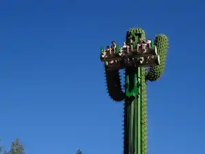 Le Cactus