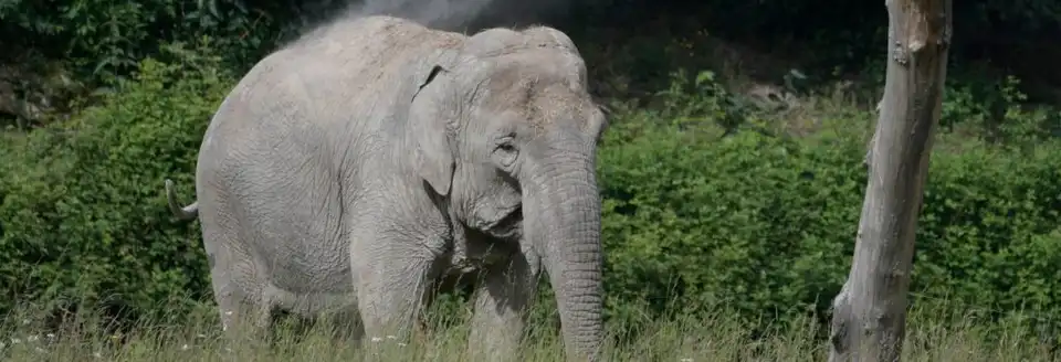 Nuit au Zoo 2026 au PAL avec la Fondation Le PAL Nature