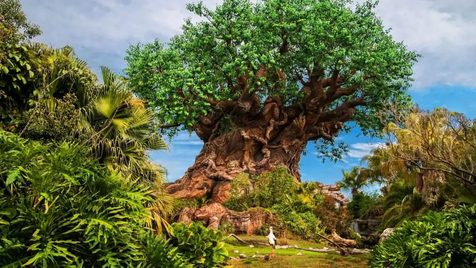 Discovery Island