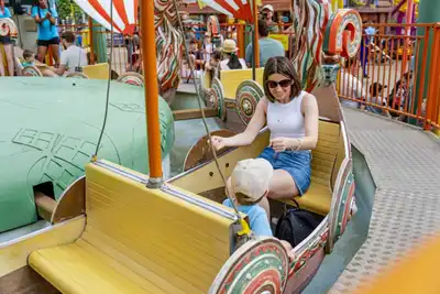 Viking Boats