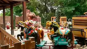 Pony Rodeo