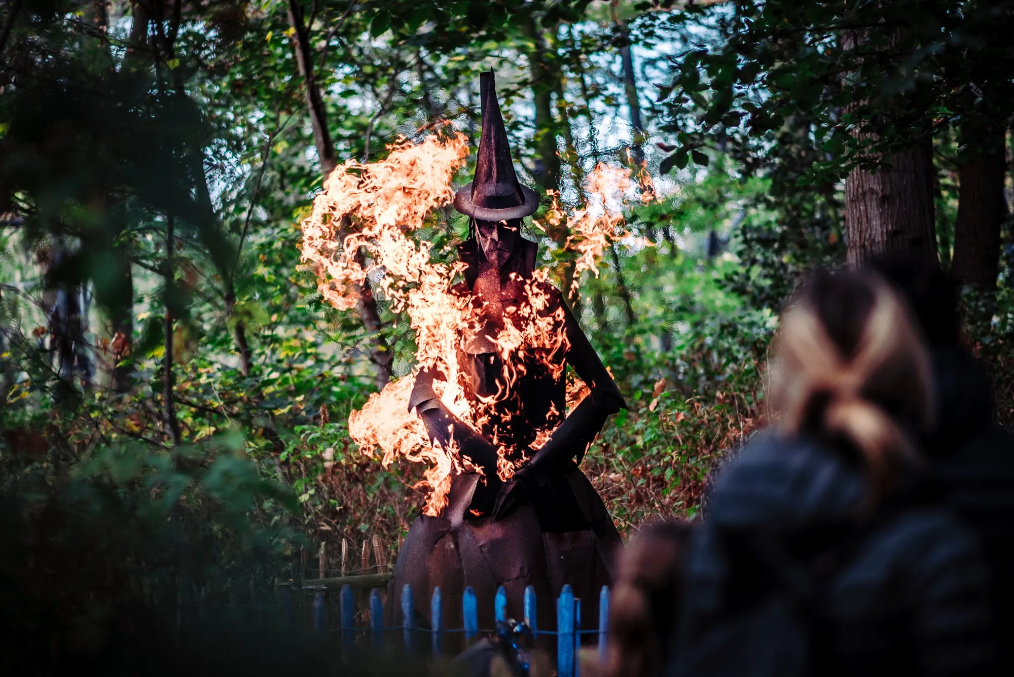 Freaky Forest – © Bellewaerde Park