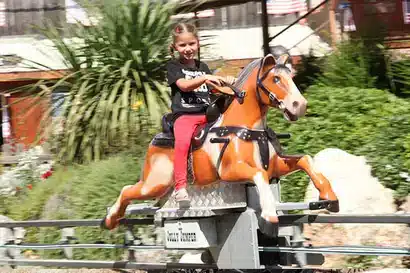 Pony Express