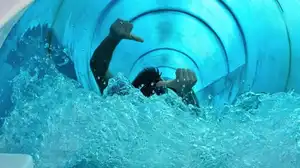 Vortex