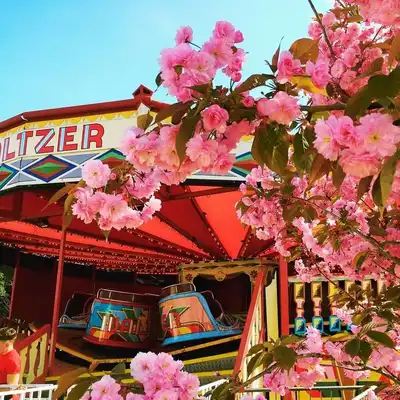 Waltzers