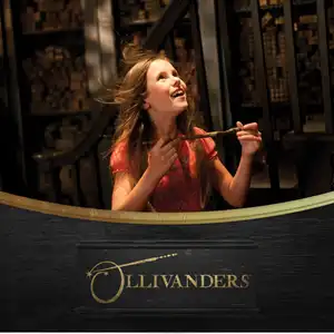 Ollivanders Wand Shop