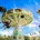 Le jardin d'acclimatation