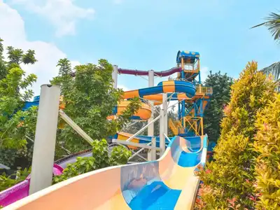 Attractions