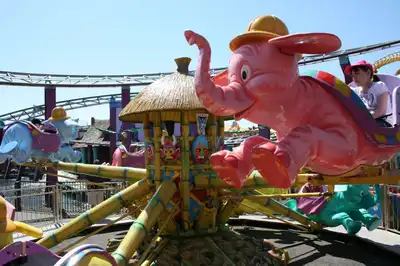 Elephants