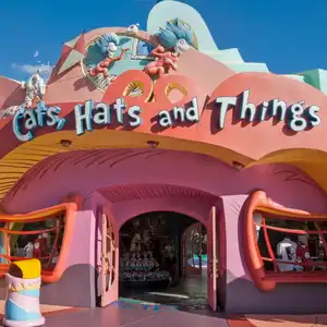 Cats, Hats and Things