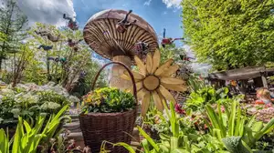 Les chaises volantes de Vienne