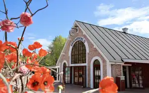 Brogaardens Is