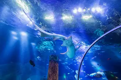 Sea Life Nagoya
