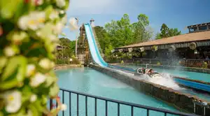 Saw Mill Log Flume