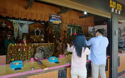 Shooting Gallery