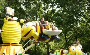 Hummelflug