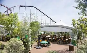 BBQ Park JU-JU