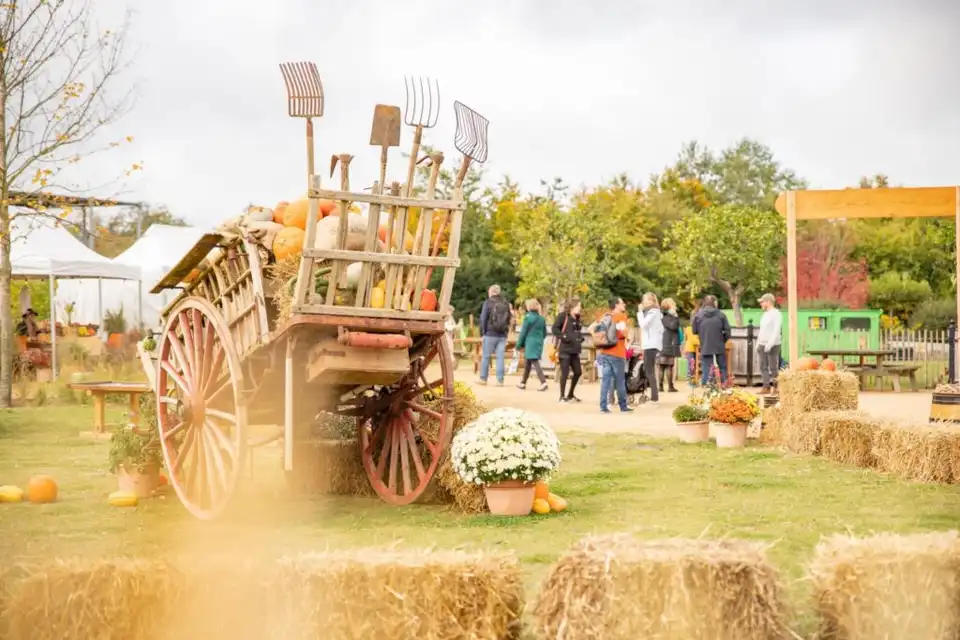 Fête de l’Automne 2026 à Terra Botanica