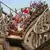 WODAN - Timburcoaster