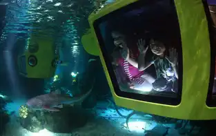 Atlantis Submarine Voyage à LEGOLAND Windsor Resort — © LEGOLAND Windsor Resort