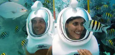 Sea Trek®