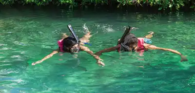 Tour de Snorkel