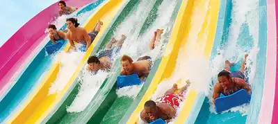 Attractions