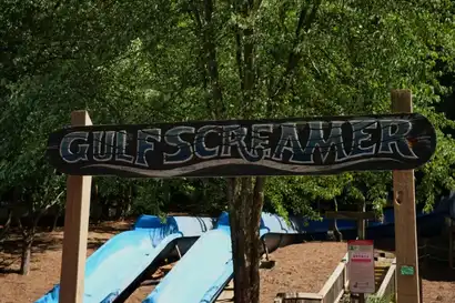 Gulf Coast Screamer