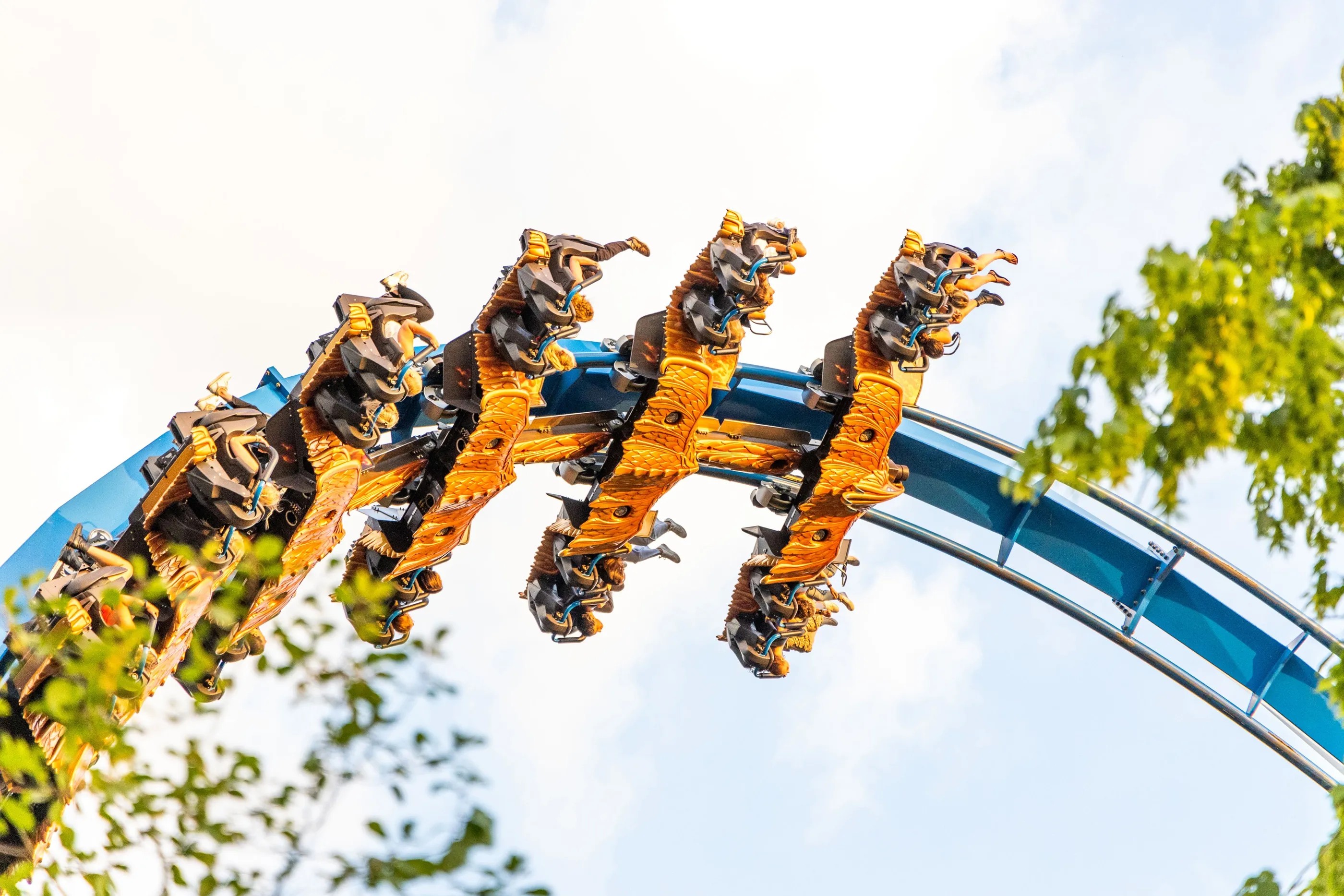 Fēnix, le wing coaster de Toverland dans la zone Avalon – © Toverland