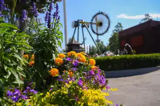 Vue du parc et de l'attraction Swingi à Linnanmäki — © Linnanmäki